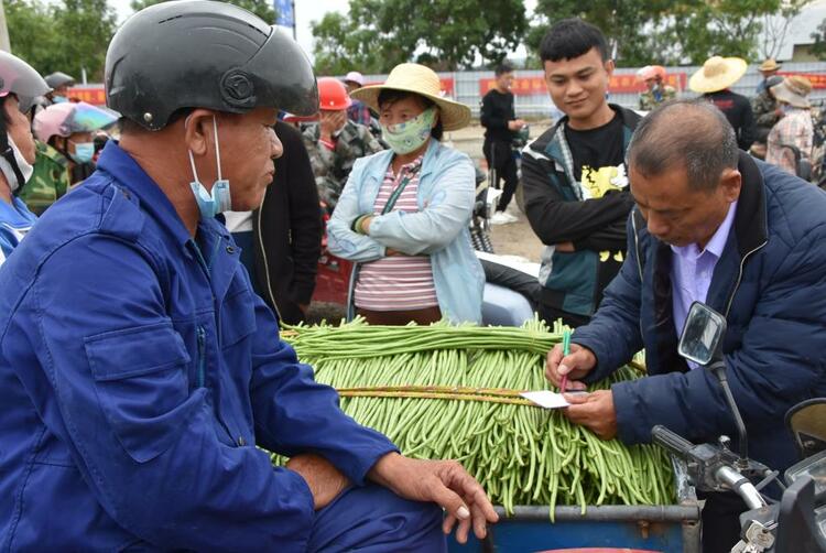 采购商和农民进行瓜菜交易。新华社记者罗江摄