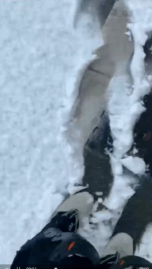 ▲杭州余杭区。@大黄菌Topaz 提供