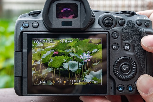 中关村在线|拍不好靠后期就行了?摄影人最迷茫的五个问题