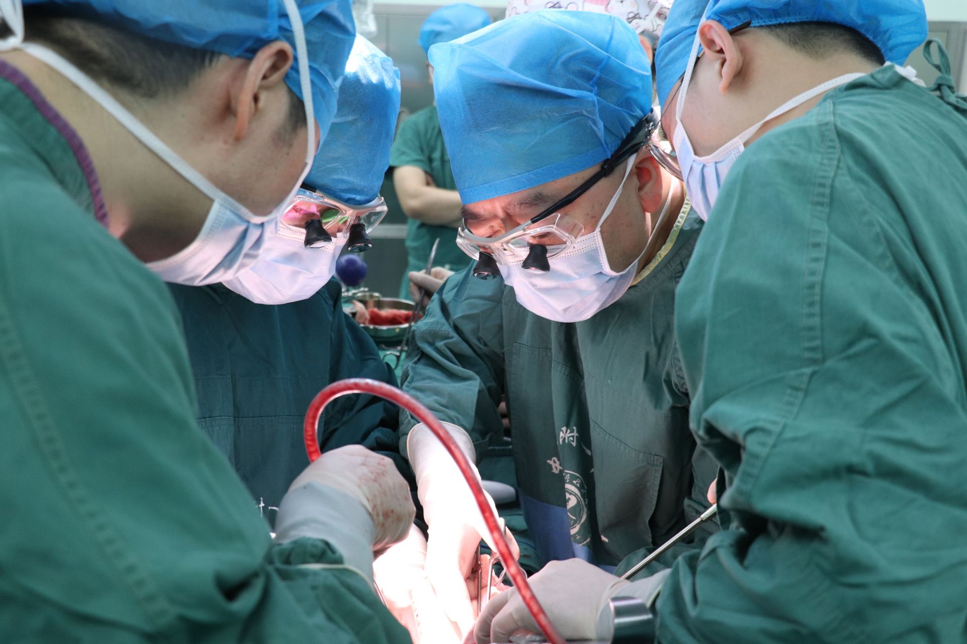 这个春节,15份珍贵的"生命礼物",带来新生与光明|医院_新浪财经_新浪