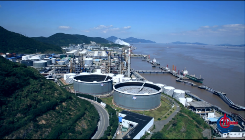 上量,扩品种,大榭石化有大动作_万洲财经