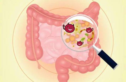 肠道有问题 身体亮红灯|便秘_新浪财经_新浪网