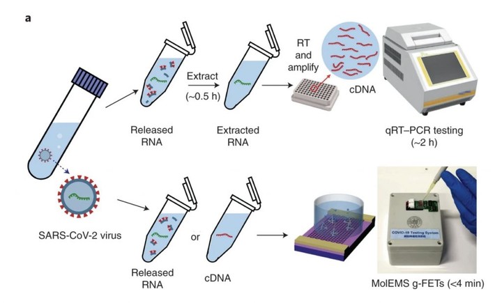 ▲SARS-CoV-2 核酸检测，图片来自：Nature Biomedical Engineering