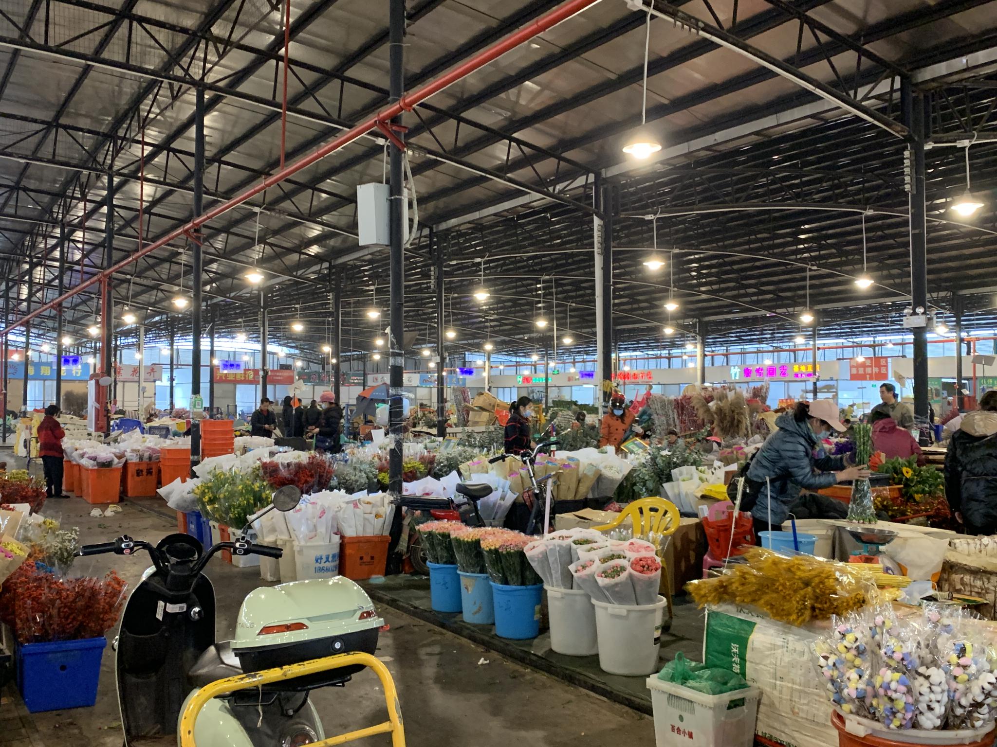  2月11日上午，市民在广州花卉市场选购。（图片来源：时代周报 梁施婷 摄）