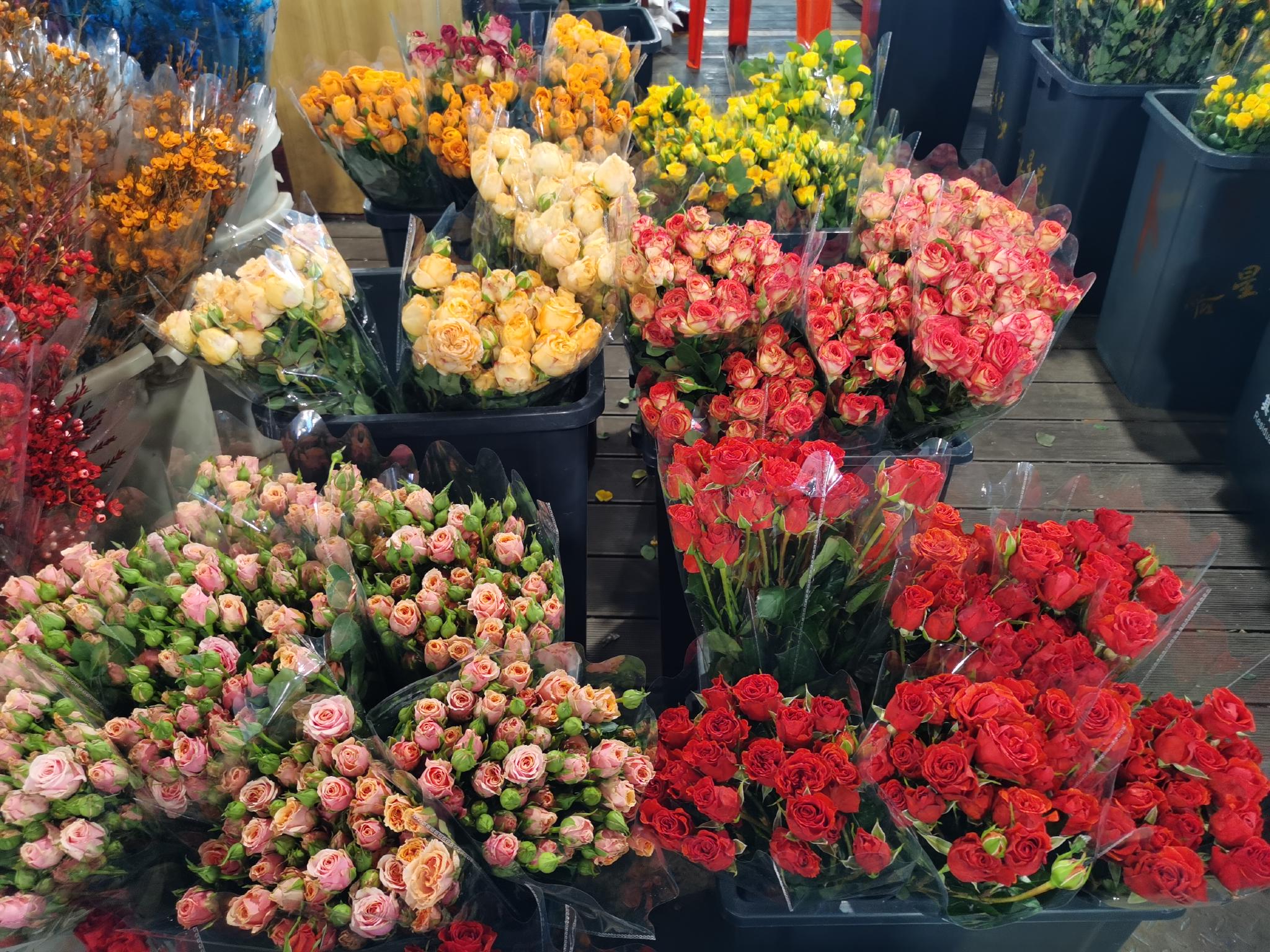 云南昆明的多头玫瑰，价格比去年上涨一倍。（图片来源：时代周报 阿力米热 摄）