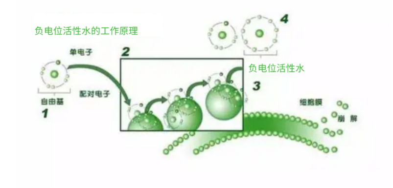 负电位水的工作原理图
