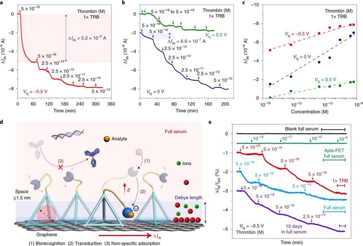 ▲超灵敏生物检测和长期稳定性，图片来自：Nature Biomedical Engineering