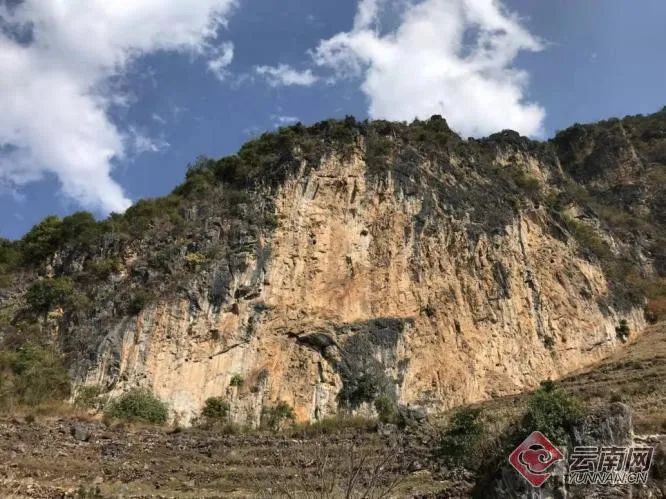 永德县岩画遗址 供图