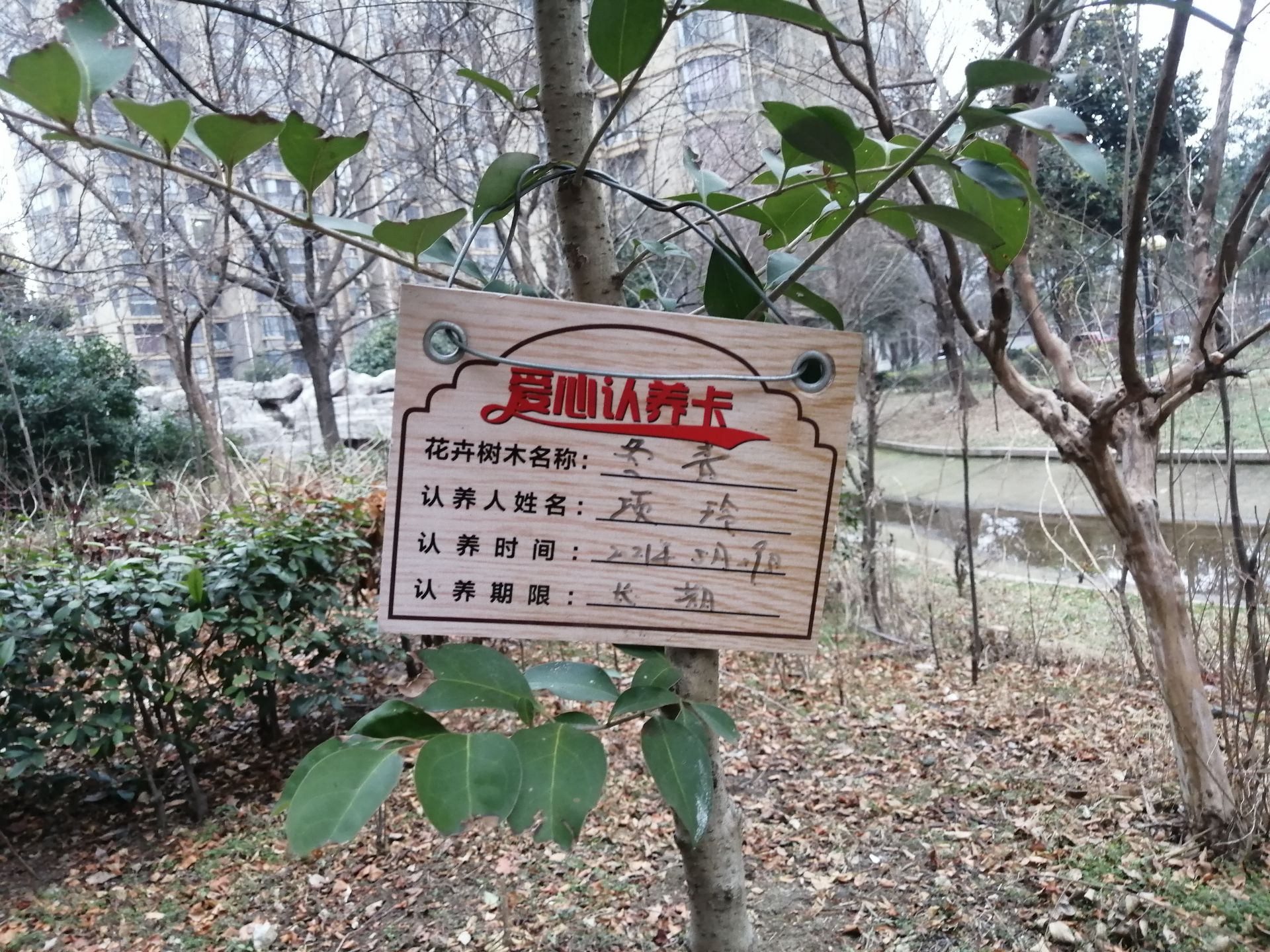 悬挂在苗木上的爱心认养卡.