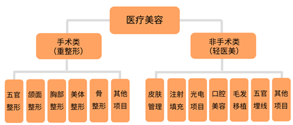 图片来源：艾媒咨询报告