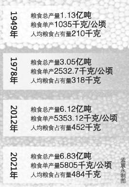 中国粮食安全的百年探索与成就