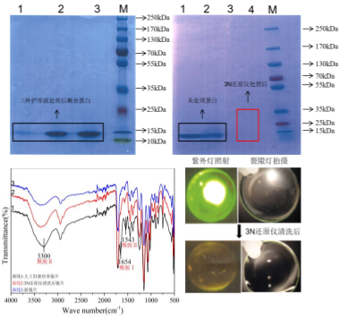 为什么美国的医疗器械注册叫做510k全球首例角膜接触镜高效除蛋白设备——3N隐形眼镜还原仪已通过FDA 510K认证_https://www.jmylbn.com_新闻资讯_第5张