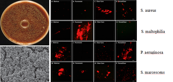 为什么美国的医疗器械注册叫做510k3N隐形眼镜还原仪已通过FDA 510K认证_https://www.jmylbn.com_新闻资讯_第4张