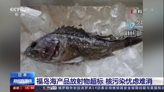 核污染忧虑难消日本福岛海产品放射物再超标