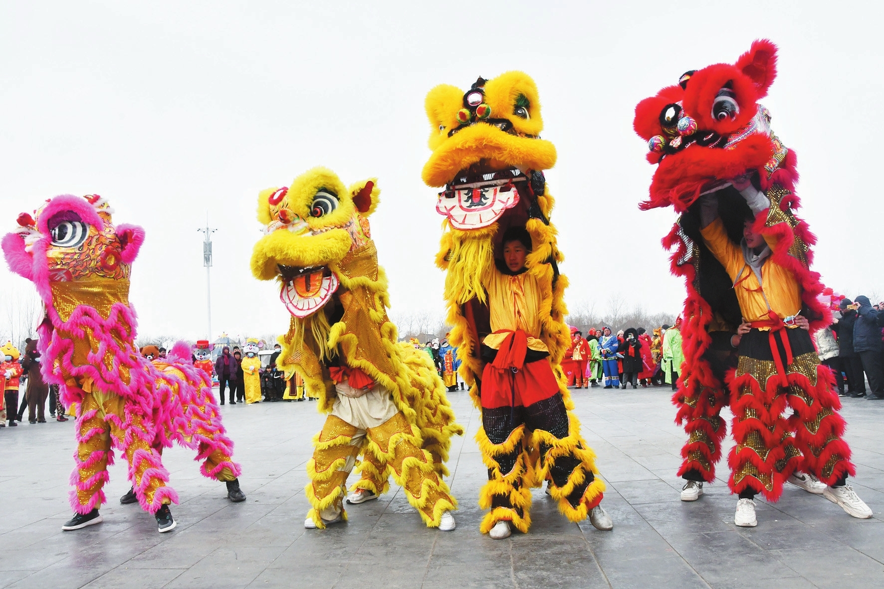 永年区广府镇东街村的舞狮表演. 胡高雷摄
