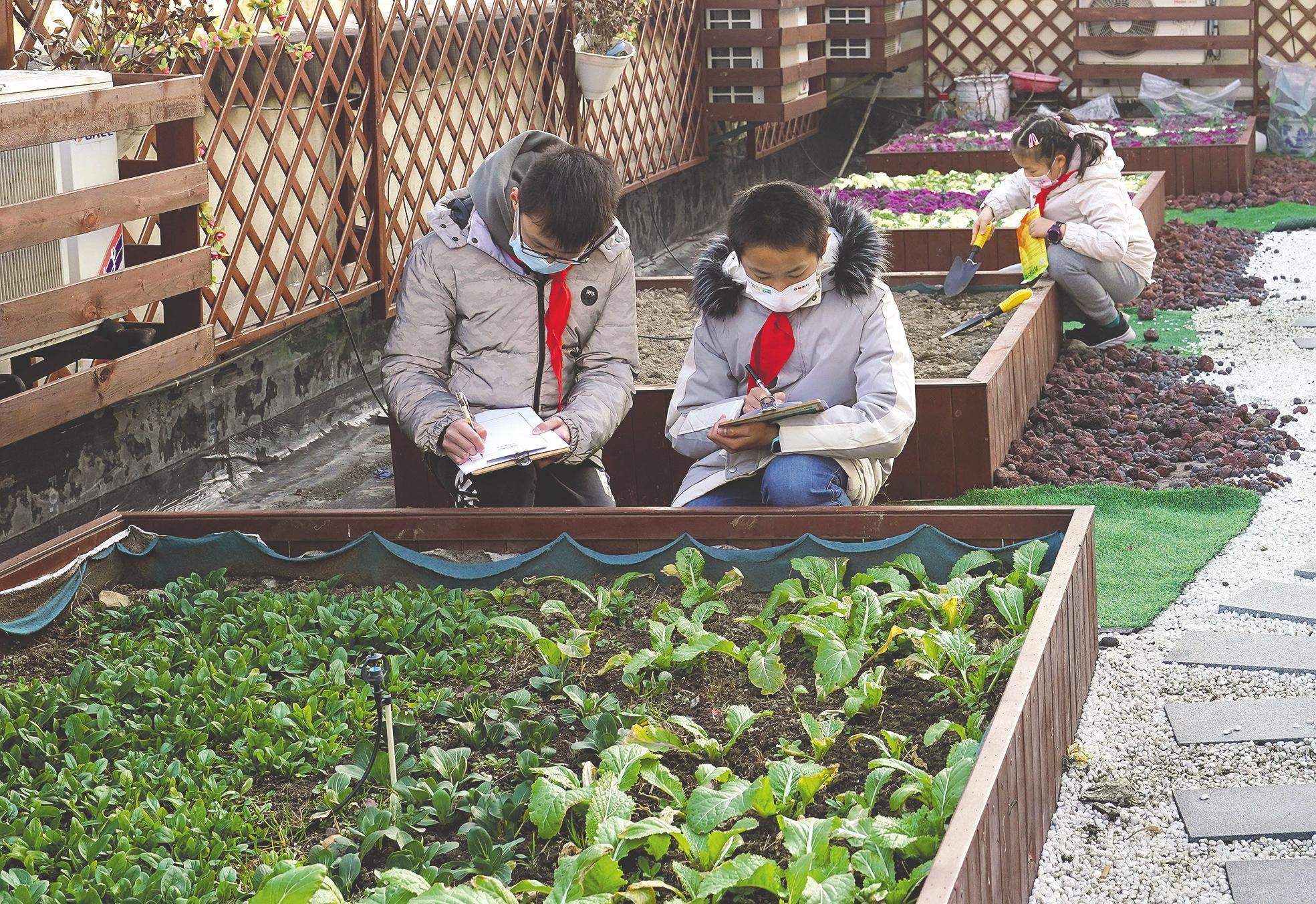 ““双减”后如何保障学习质量？教育部：分学科制定教学基本要求