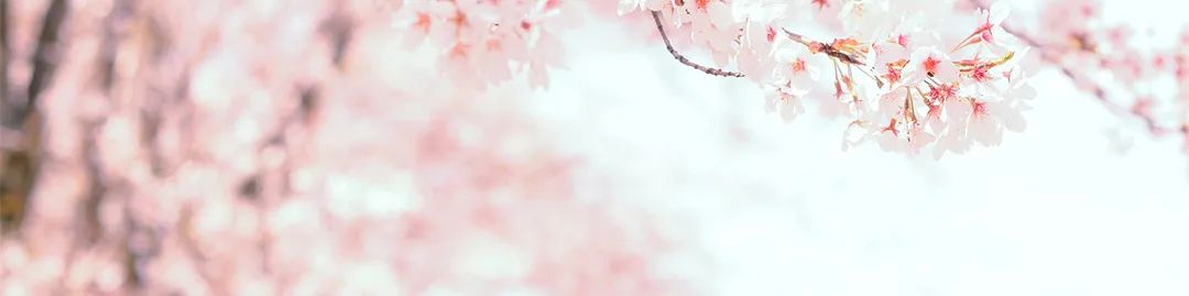 免责申明：以上内容仅供参考，并不构成投资建议，请投资者自行把握并承担决策责任。