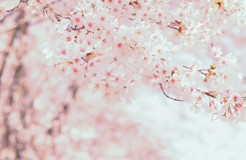 “主动管理“练剑”，财通资管的公募管理进阶之路