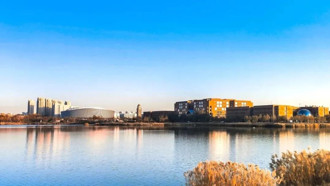 权威发布 | 天津理工大学诚邀海外优秀青年人才申报国家优青(海外)项