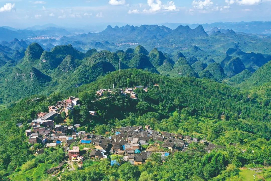 近年来,连南县持续开展"全域增绿"生态修复,实现了对3568.