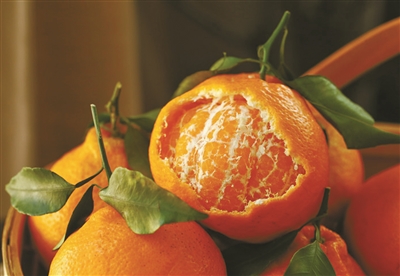 已经有枇杷上市了是真的