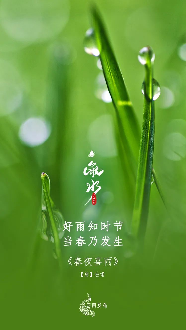 "好雨知时节,当春乃发生.