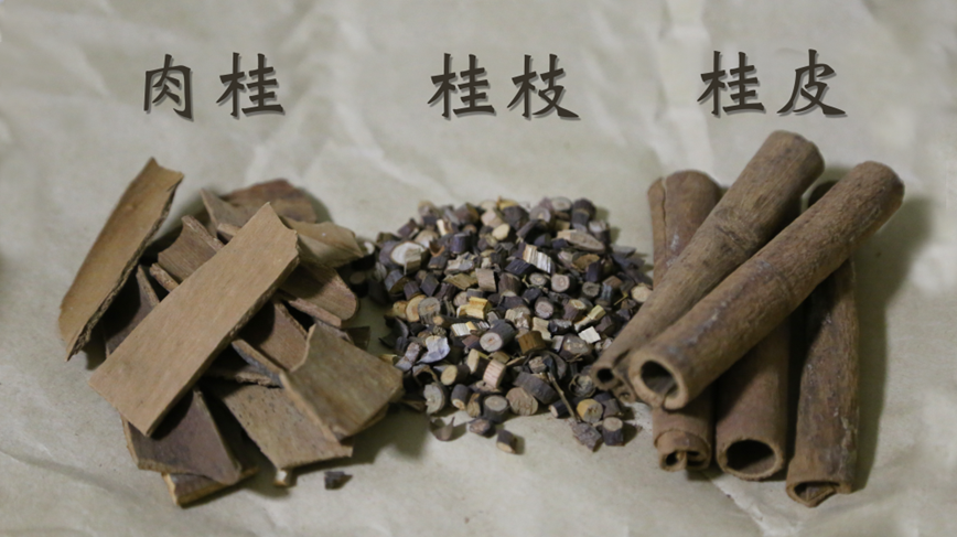 转给你关心的"她"→|肉桂_新浪财经_新浪网