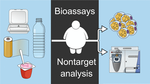 塑料消费品中使用的化学品的脂肪生成活性。采访对象供图