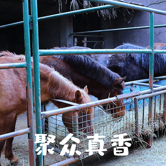 （图片来源：摄图网）