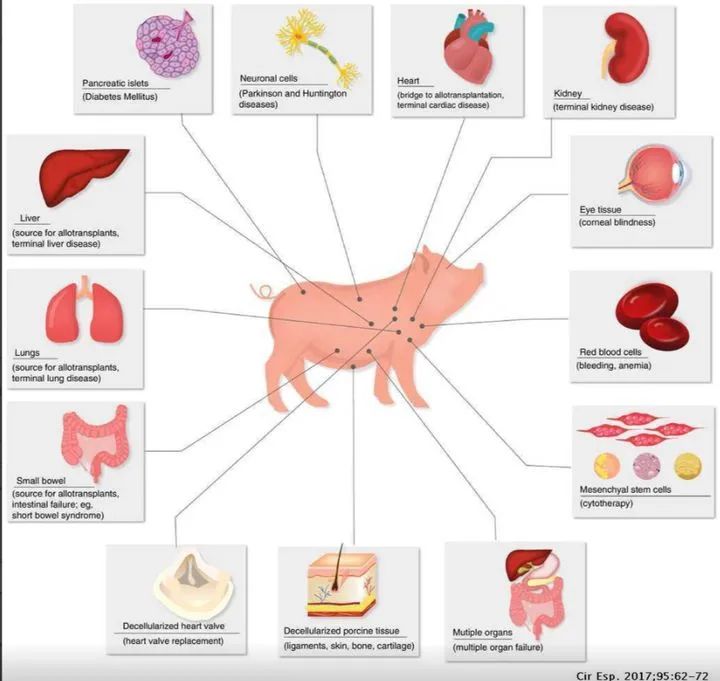 生物护创膜什么价位被降维打击的冠昊生物_https://www.jmylbn.com_新闻资讯_第2张