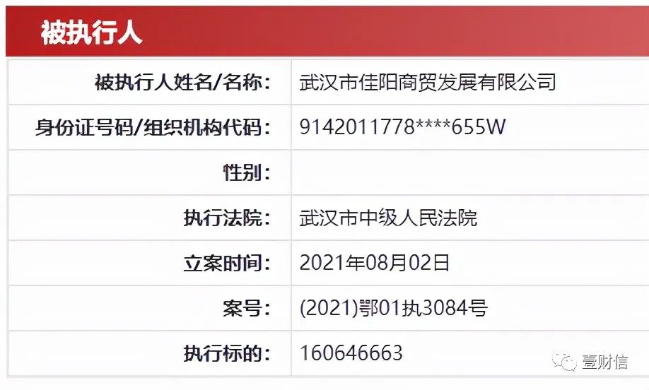 （截图来自中国执行信息公开网）