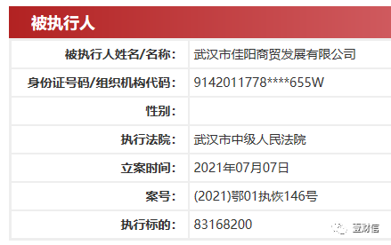 (截图来自中国执行信息公开网)