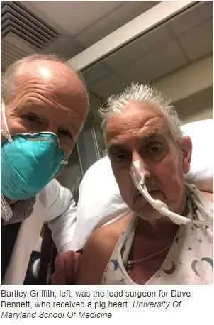 生物护创膜什么价位被降维打击的冠昊生物_https://www.jmylbn.com_新闻资讯_第1张