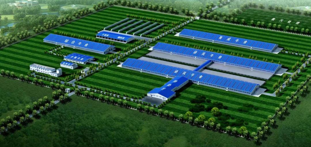 凭什么龙游这个落后村能引来投资过亿的项目