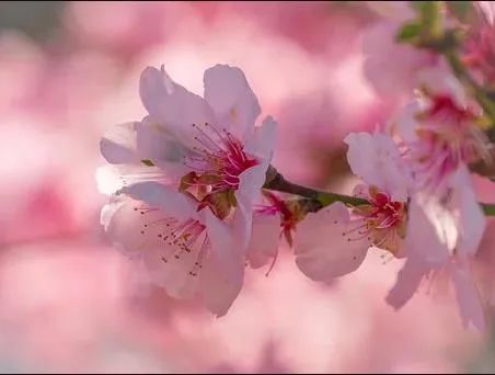 “排名第一的基金倒车接人？还能不能上？