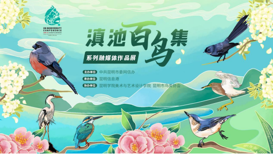 cop15充分展现生物多样性之美昆明彩绘滇池百鸟集上线