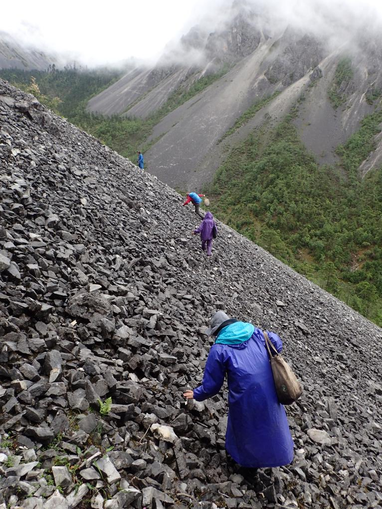 图2 海拔4500米流石滩,最远处是走得最快的王老师