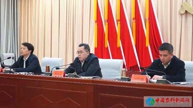 陕西洛南县召开拓展新时代文明实践所站建设暨文明村镇创建工作现场