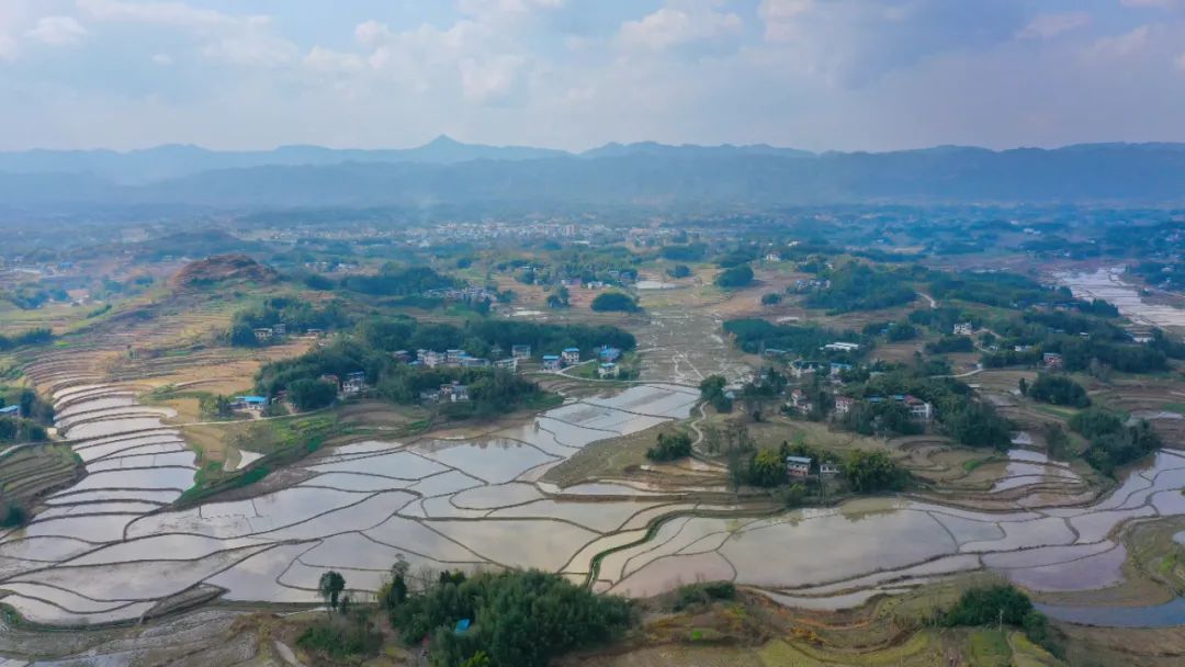 重庆市梁平区聚奎镇长岭村的稻田，摄影：刘辉。来源：中经视觉