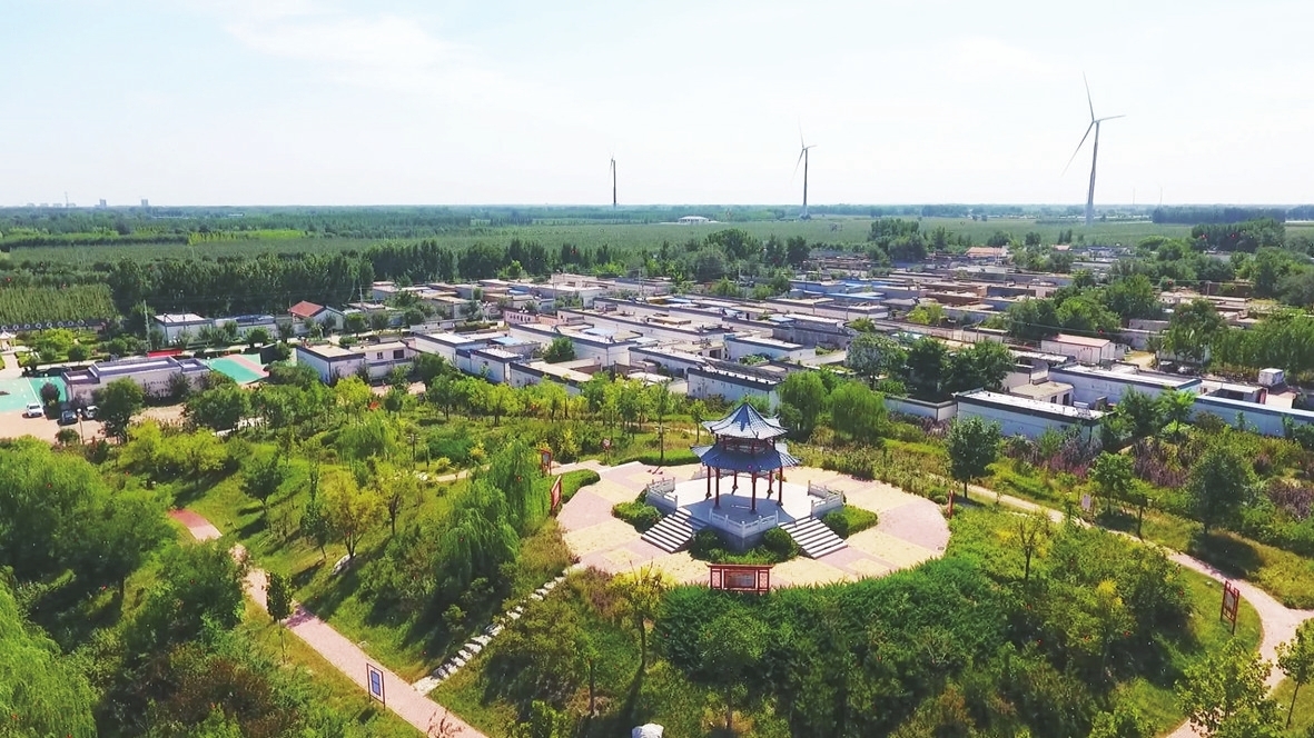 阜城镇冯塔头村鸟瞰图富源密植梨合作社的工人们正在采摘密植梨阜城镇