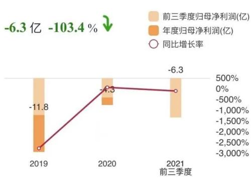 数据来源：公司财报