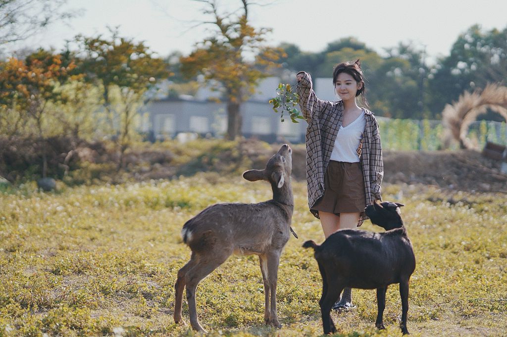 章若楠发布自然系写真 亲切与小鹿互动氧气感十足_高清图集_新浪网