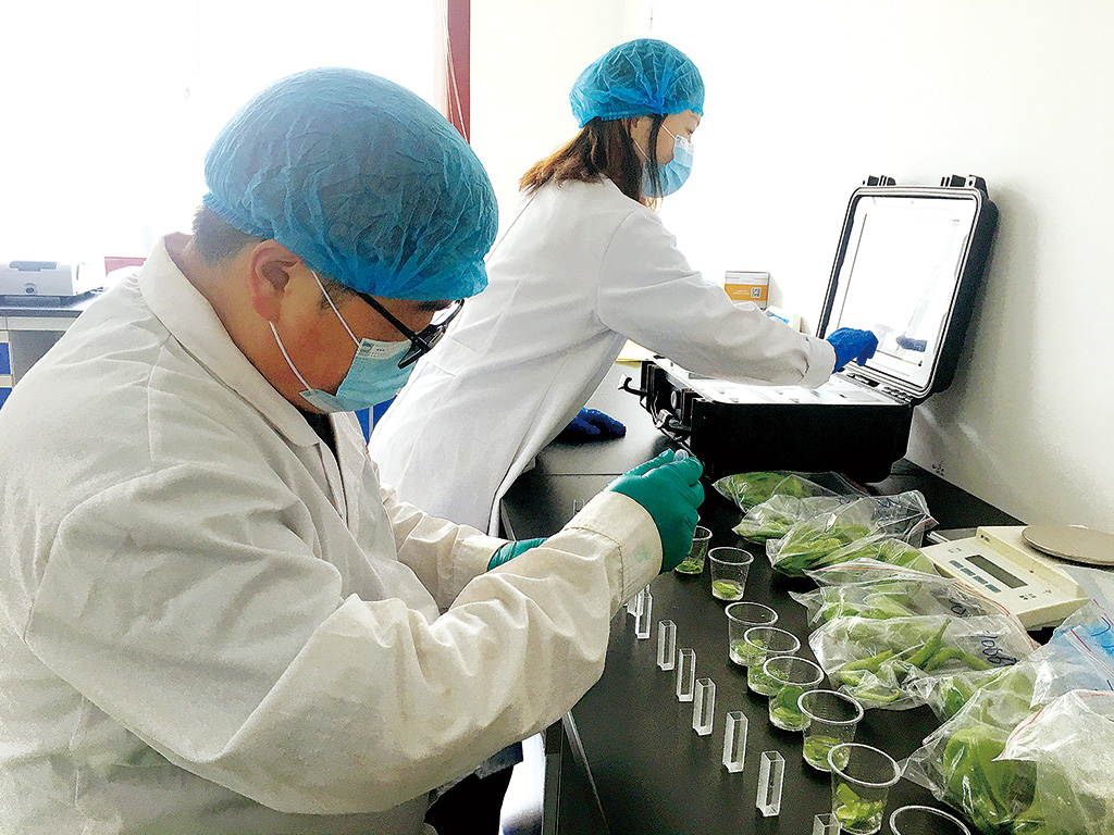 农产品生产加工源头开展实地抽样抽检工作