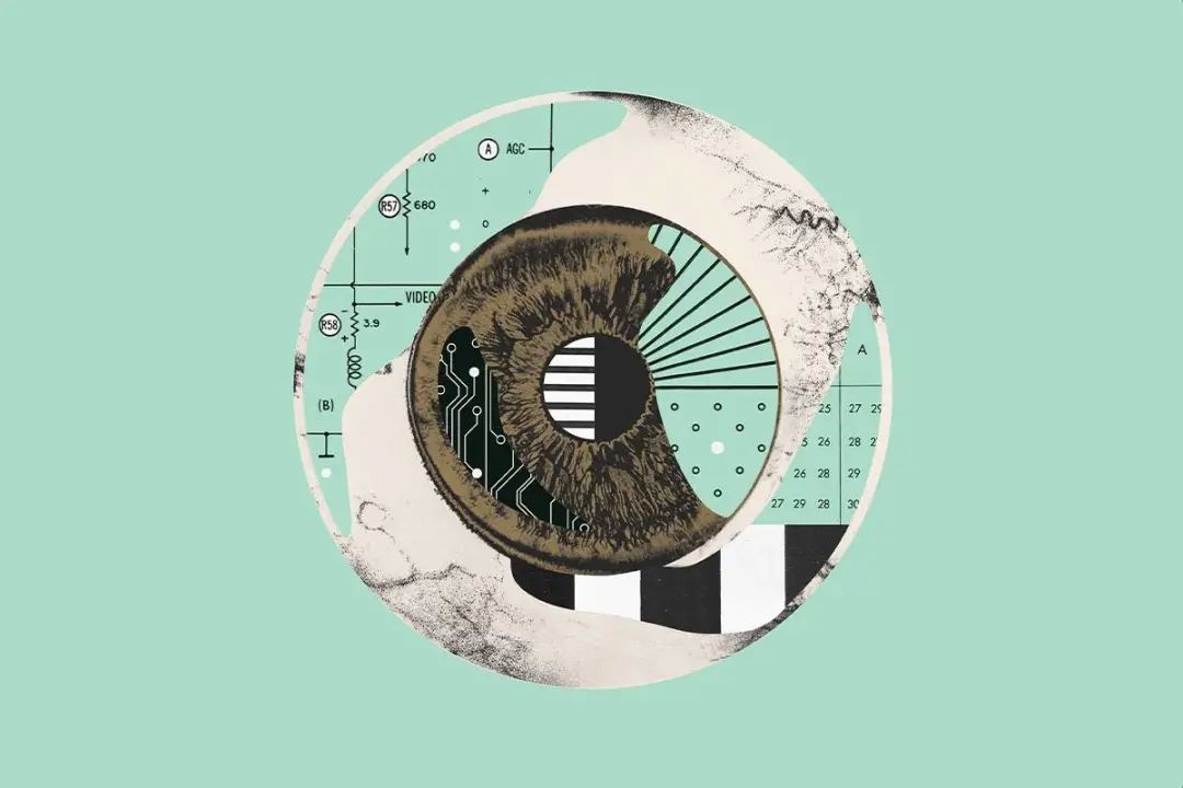 图片来自：Usc.edu/迈克·麦奎德