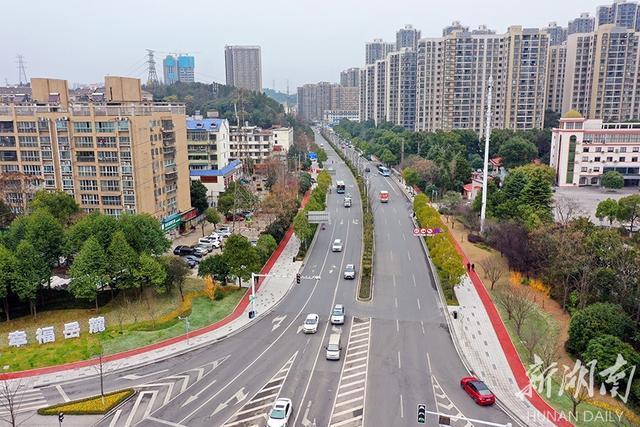 岳麓雷锋大道旧貌焕新颜