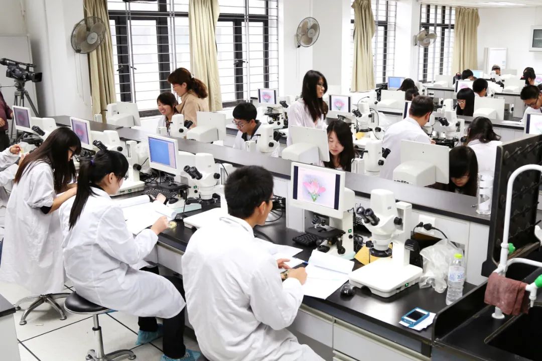 赞!教育部首批试点,中国药大2个虚拟教研室入选!|教育部|中国|化学_新浪新闻