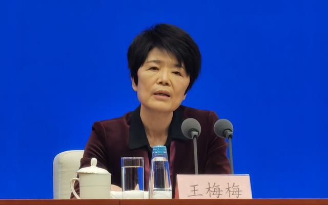 中国残联副理事长王梅梅.新京报记者 陈琳 摄