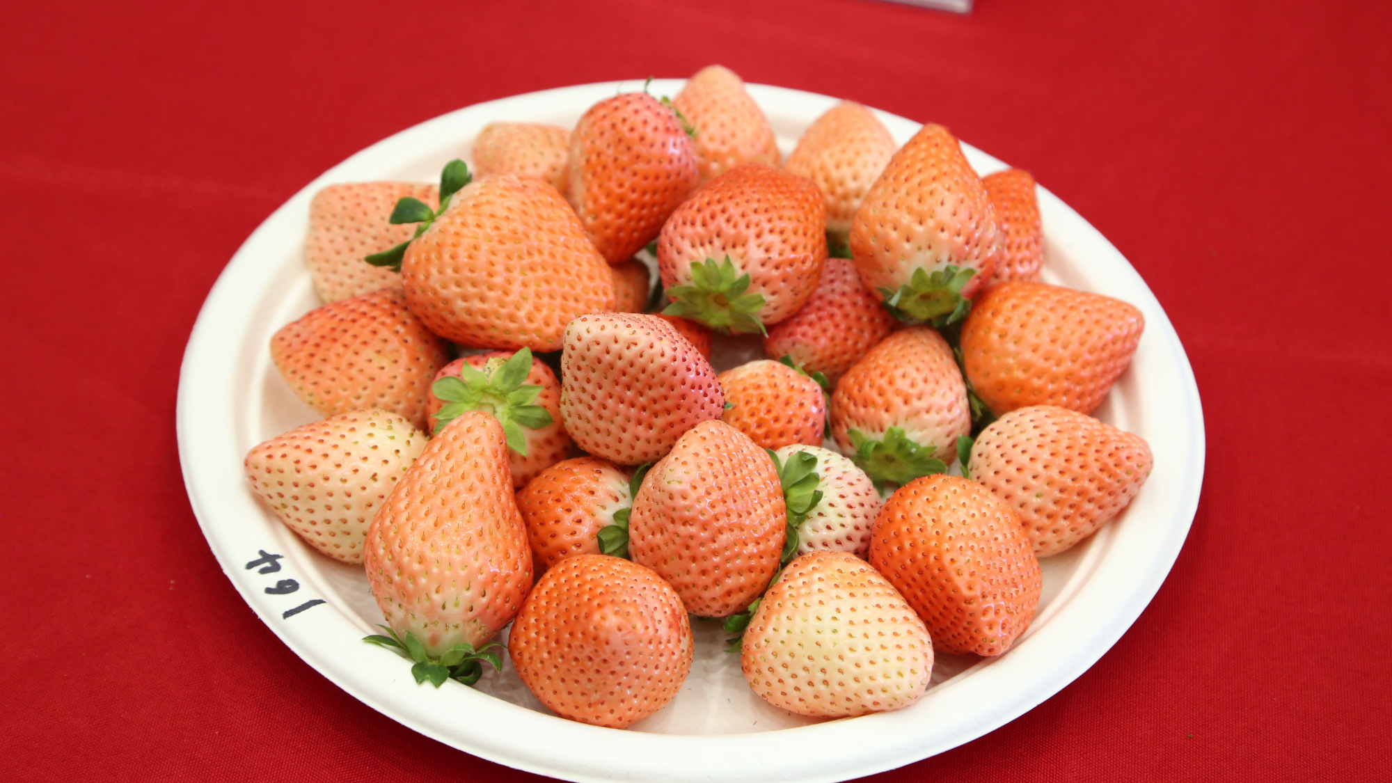 相约莓好时光共享莓好生活第八届北京草莓之星评选暨第三届昌平草莓节