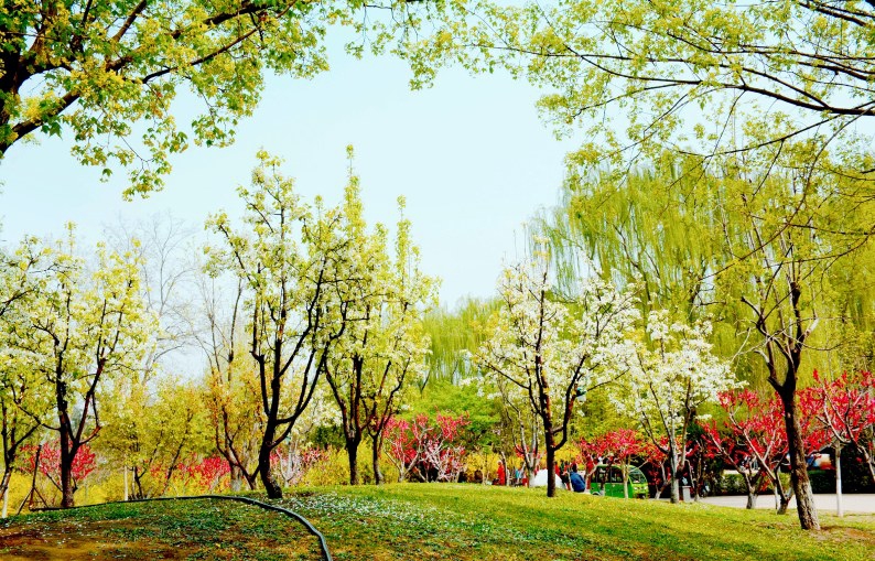 (通州区梨园镇政府发布)(田兆玉)(党维婷 贺建海/摄)