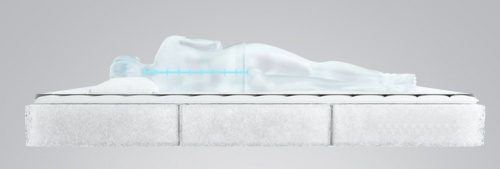 床垫提供较好的硬度支撑，人体脊柱呈自然排列